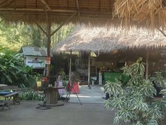 -大象粑粑造纸公园