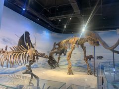 -辽宁古生物博物馆