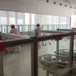 -金鹰国际月子中心(新街口店)