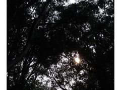 -长洲岛