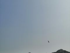-海驴岛(荣成市)