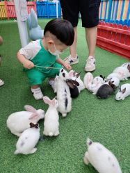 -萌宠亲子动物乐园(槐房万达店)