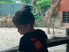 -长鹿旅游休博园