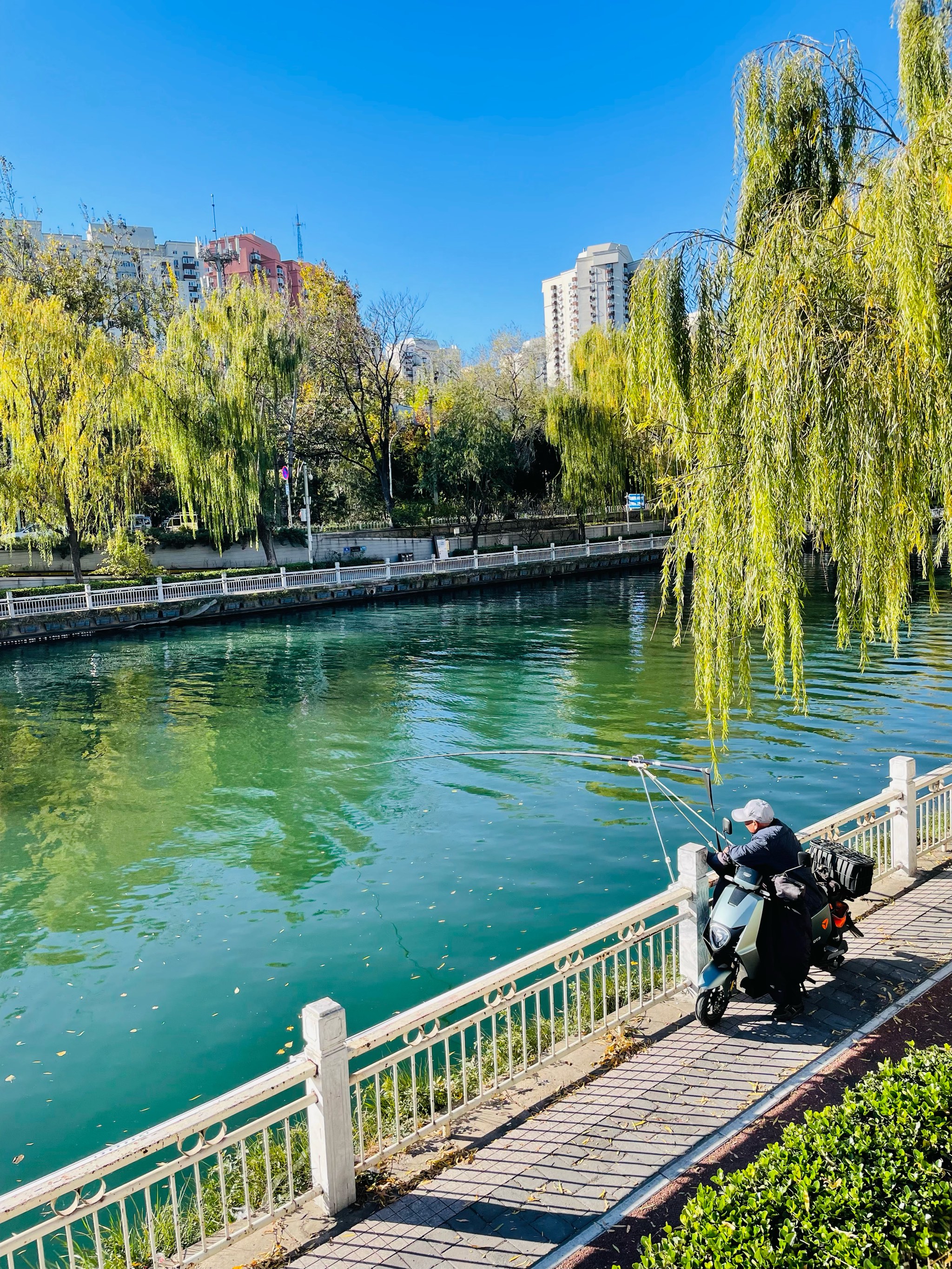 保定护城河介绍图片