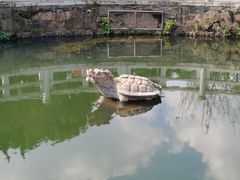 -白马涧龙池景区