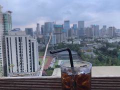 自由古巴-萨芭蒂高空花园餐酒吧