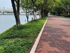 -南宁南湖公园