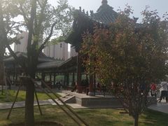 -迎泽公园