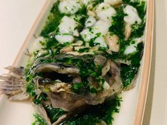 -蝶园·装修中(BFC外滩金融中心店)