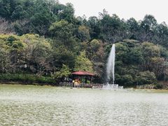 -广州白江湖森林公园