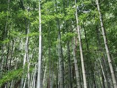 -九龙潭景区