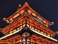 景点-杜甫江阁