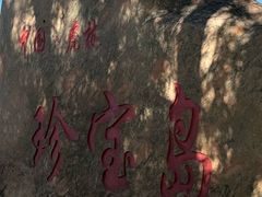 -珍宝岛