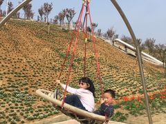 -绵阳盛世樱花悠乐谷