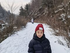 -秦岭风景区