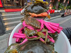 -辣螃铠盆盆蟹大排档(海昌店)