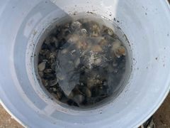 -东疆理想海岸沙滩景区