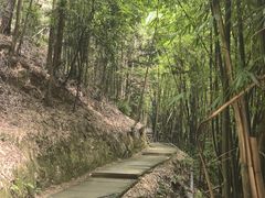 -缙云山景区