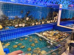 水产区-乔哥铭洋海鲜自助(皇城恒隆广场店)