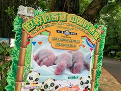 -广州长隆野生动物世界