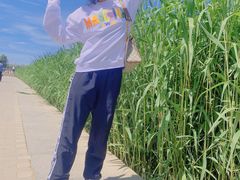 -素心小筑(后沙裕镇店)