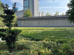 -西安大兴善寺