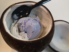 -志龙皇冠吃货椰子铺