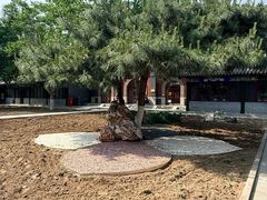 -护国法轮寺