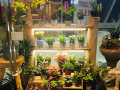 -十二舍·湯物素煮(江泰潤政店)