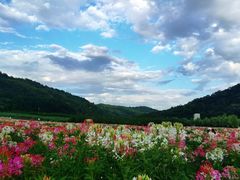 -南泥湾风景区