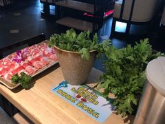 -新草堂锅物料理(泉城路店)
