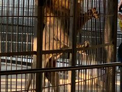 -广东茂名森林公园