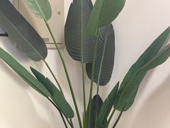 -红像馆连锁精致证件照职场照(中关村店)