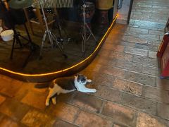 -城墙外BAR