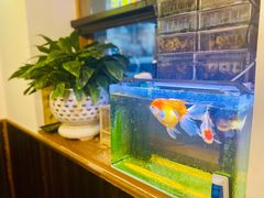 水产区-Hey!蛋包饭(中山店)