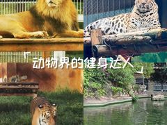 -昆明动物园