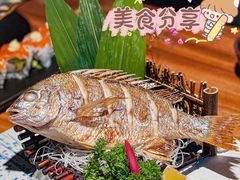 -森味薪火烧•烧鸟居酒屋•日本料理(望京店)