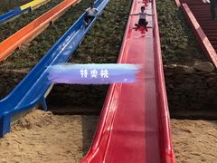 -西部长青自然儿童乐园