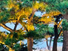 -老虎石海上公园