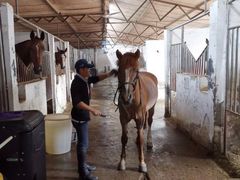 -月河湾马术俱乐部(朝阳店)