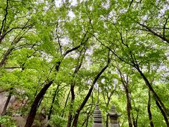 -天津盘山风景名胜区