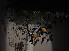 -穹六人间 people 6(岳阳路店)