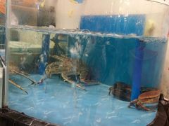 -和乐喜点(宝岗大道店)