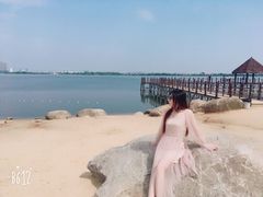 -瑶湖郊野森林公园