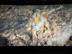 -中影佰纳国际影城DMAX(花都广百广场店)