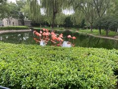 -石家庄市动物园