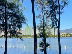 -飞来湖湿地公园