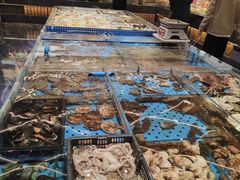 -大连湾旭日·家宴·海肠捞饭(马栏广场店)