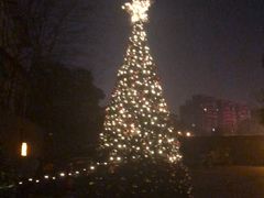 -酷cigar&whisky·bar(神仙树店)