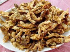 椒盐蘑菇-乐乐餐厅(湘子庙街店)